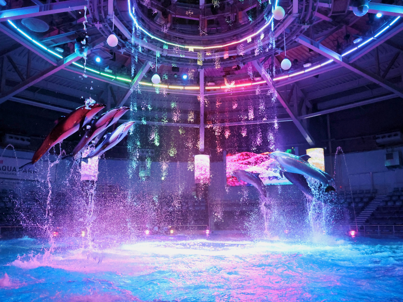 ���}�N�Z���A�N�A�p�[�N�i�쁚���E���E�f���Ɛ������̂��Z������TOKYO�Ő�[�G���^�[�e�C�������g�B �f�W�^���e�N�m���W�[����g������ԂŊC�̐��E�̖��͂����͂��I