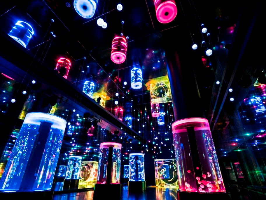 `WF[tBbVu`ƌ̐DȂ̋ԂŁA Č܂܂ɎUy݂B