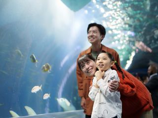 人数限定で開館前の水族館へ入場!飼育スタッフの解説&イルカにタッチも楽しめるプラン♪親子の思い出作りにおすすめです。