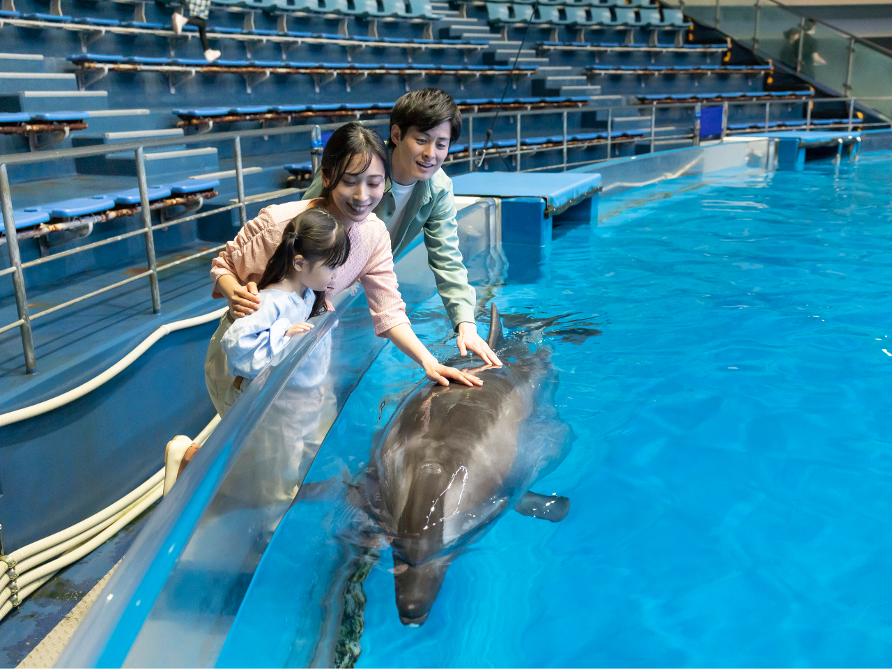 eq̌̈łȂƃCJ^b`\IiłȂoeqł悤