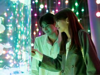 大切な方と海の世界で幻想的なひとときを。ペアで楽しめる、ドルフィンパフォーマンス“お座席確約つき”のプランが登場!