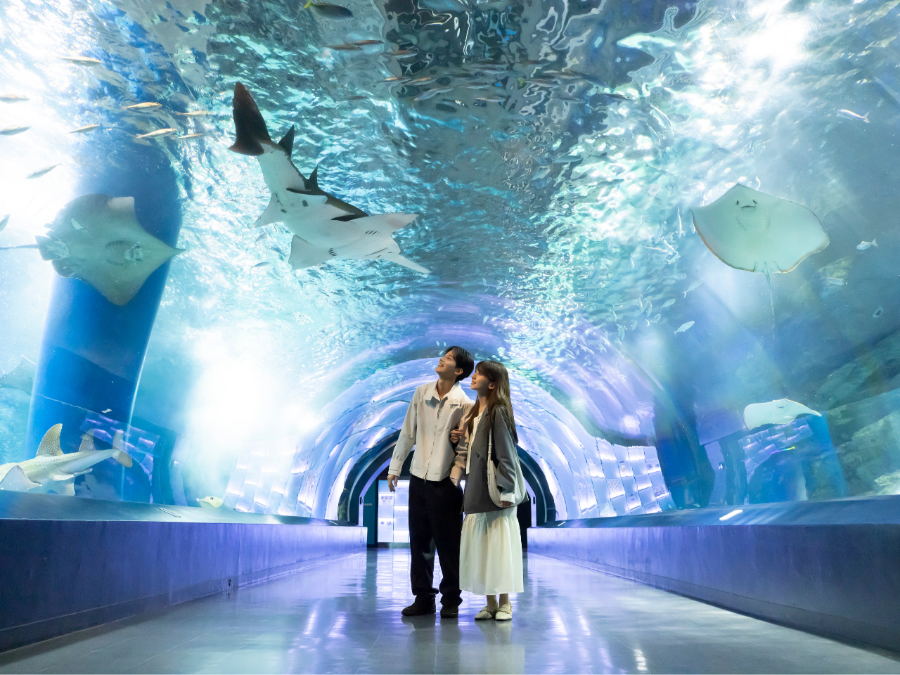 `_[`[u`܂܂Ȑ̂DɉjlC̃X|bgBC̐EŃ}`bNȂЂƂƂ