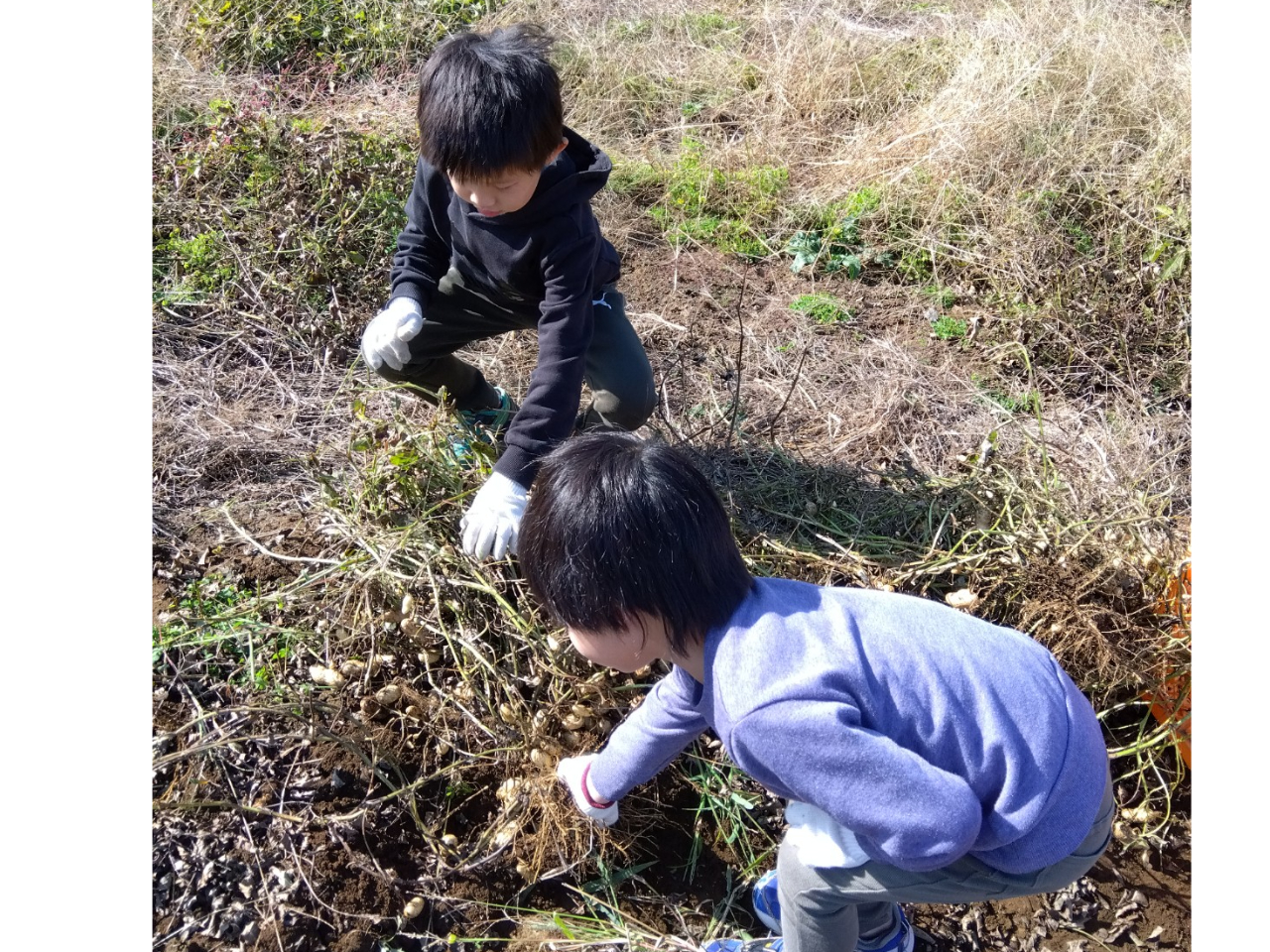 こんな風にできてるんだね