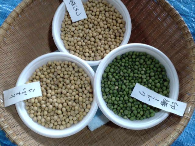 �A�X�i���_���Y�̎��R�͔|�̑哤���g�p