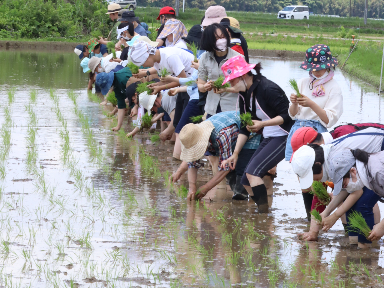 �A�X�i���_���̎ʐ^3