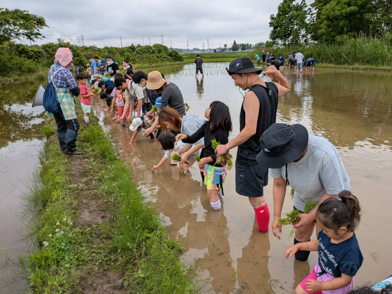 �A�X�i���_���̎ʐ^2