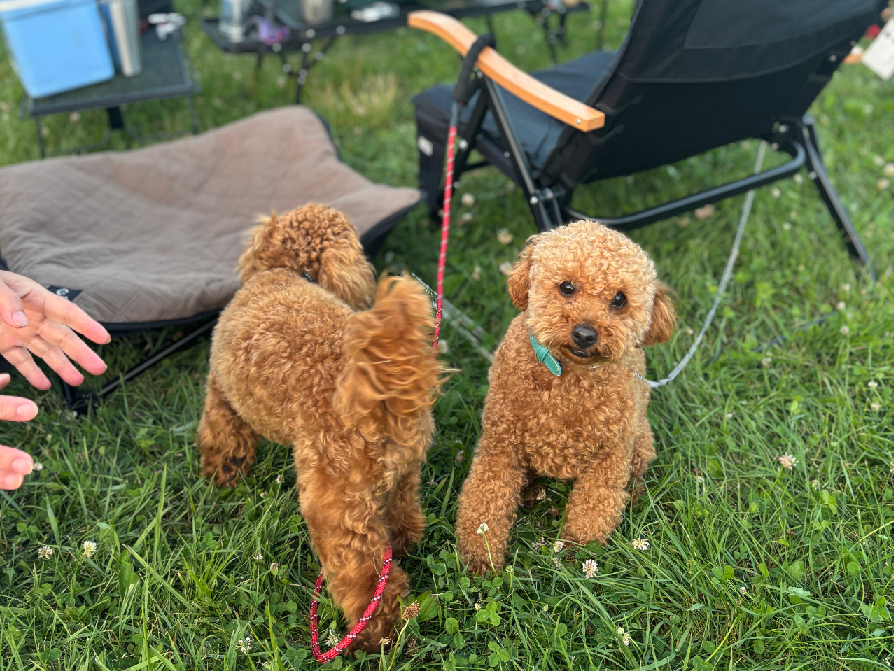 ybgꏏɊy߂܂~nɂ̓hbN܂I