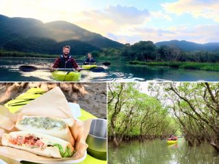 当店だけのオリジナルツアー!早朝のマングローブを楽しみましょう!