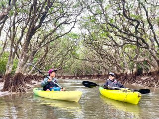 満潮時は木のトンネルに入れる!