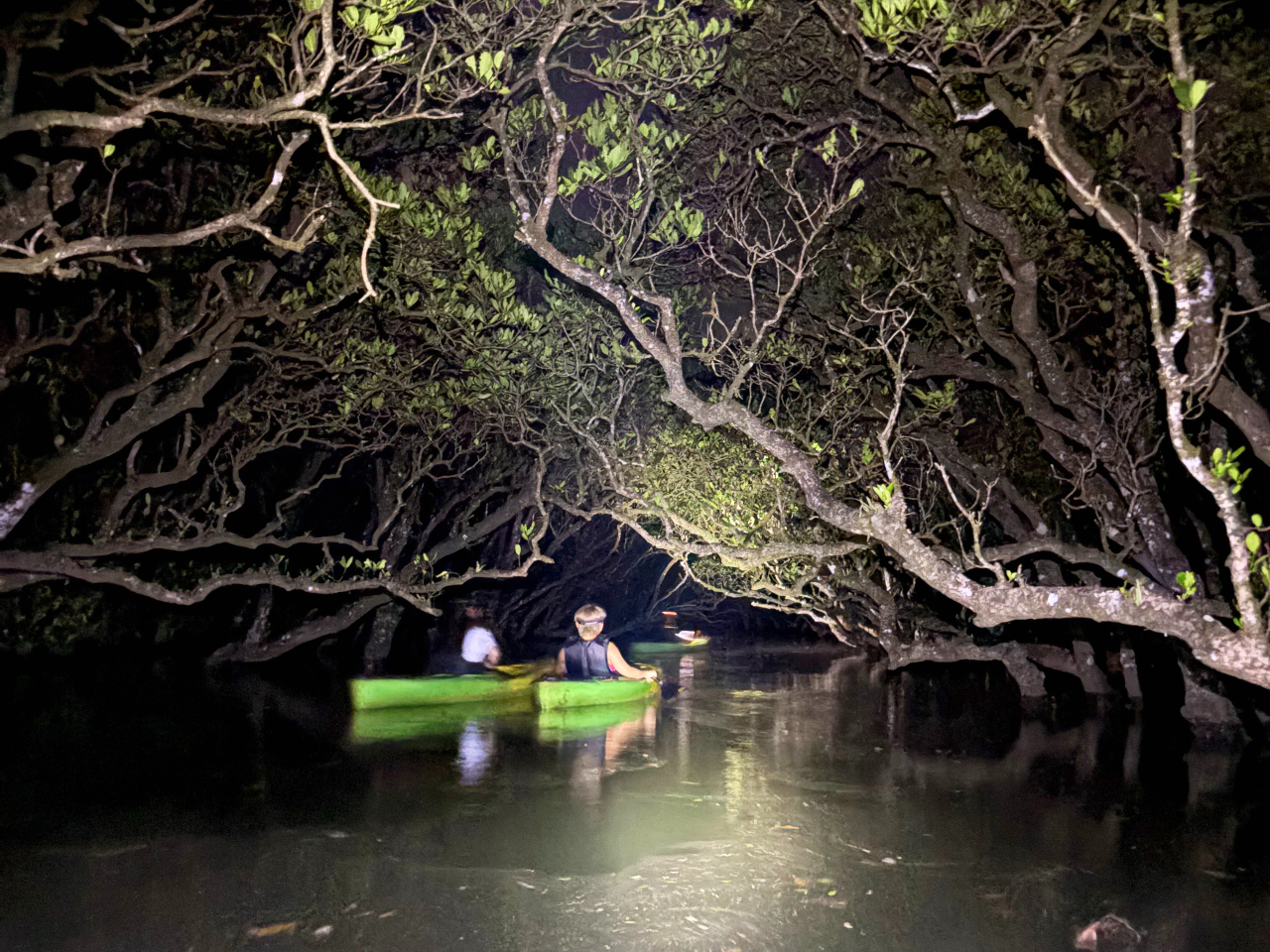 Èł̃}O[uwbhCgĒT