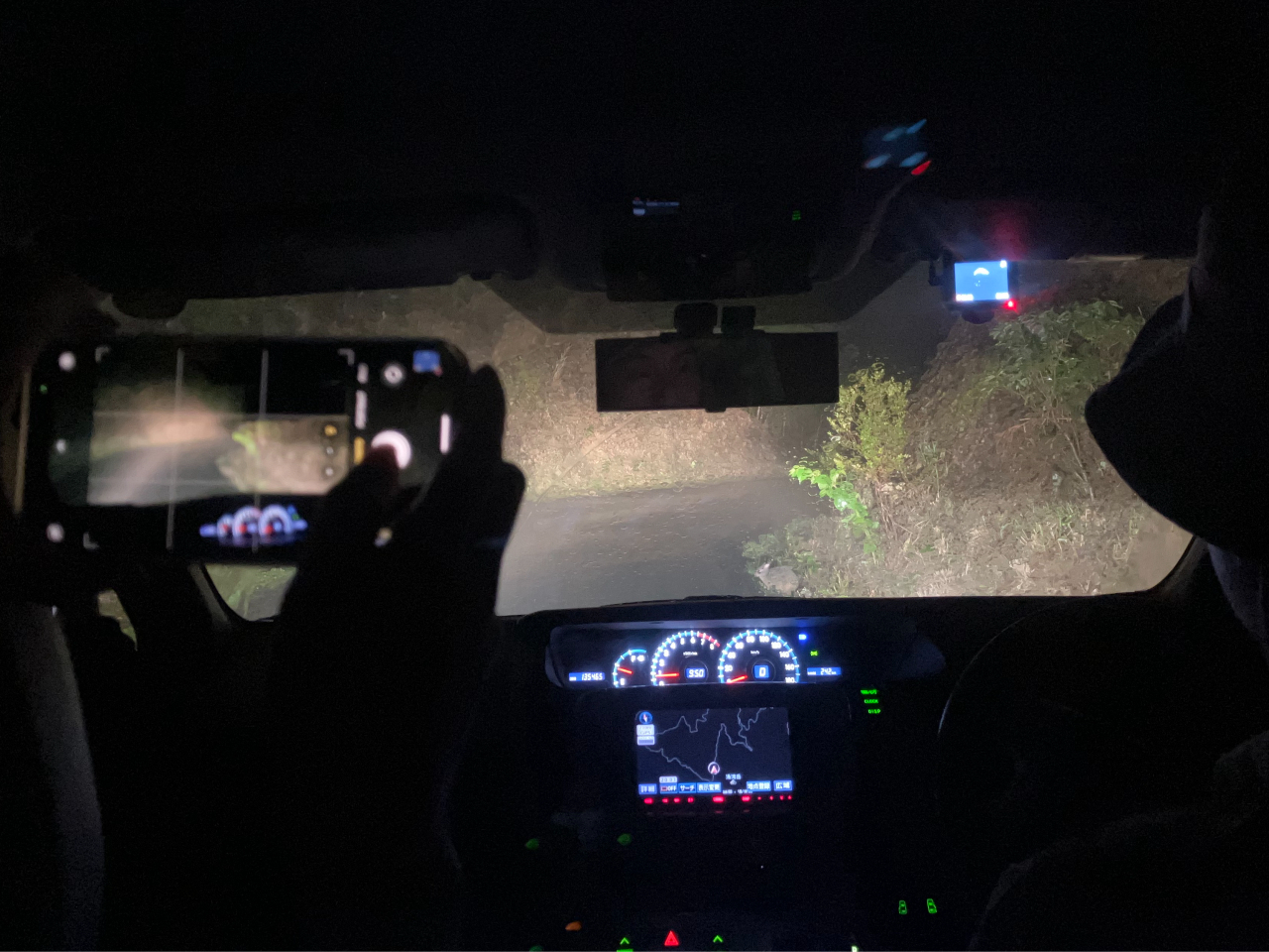 �N���E�T�M�𔭌��I