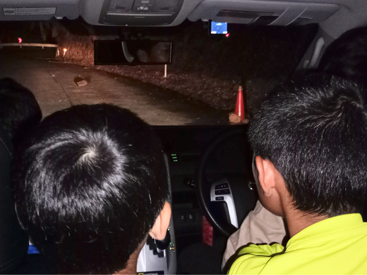 �L���ԓ����������蓮�����ώ@�B�q�����O�̂߂�œ�����T���܂��I