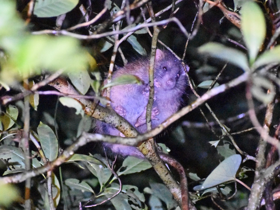 �^���ǂ���΂����ȓ����ɏo���I