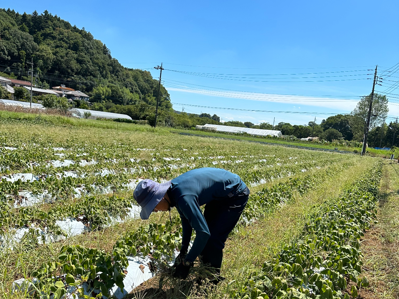 Ă͑Ƃ̓IǊ撣āAH̎nŊF܂҂Ă܂I