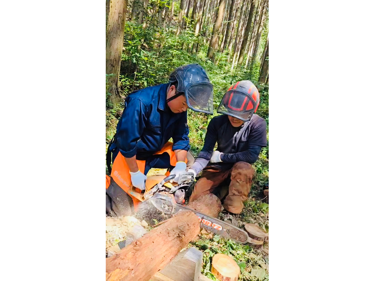 �ыƂ̃X�y�V�����X�g���y�����A���J�ɋ����Ă���܂��B 