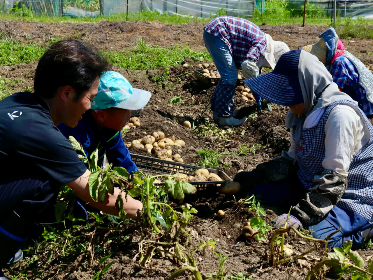 ���ԃi�r�̎ʐ^1