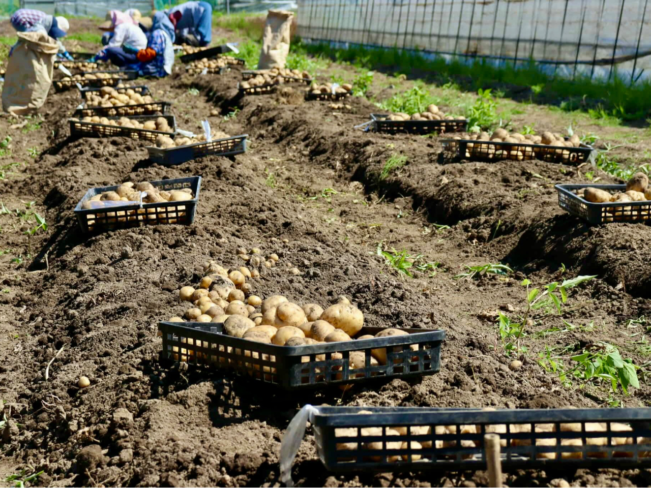 ���ԃi�r�̎ʐ^4