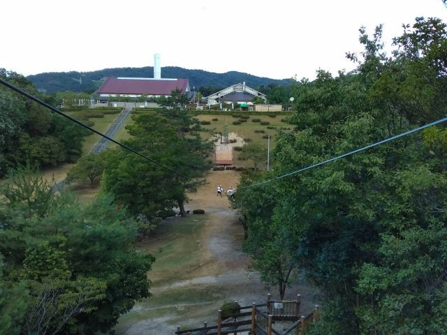 光る森の空中散歩♪ 幻想的な夜の世界を楽しもう！ 3本のZIPLINEを飛ぶ