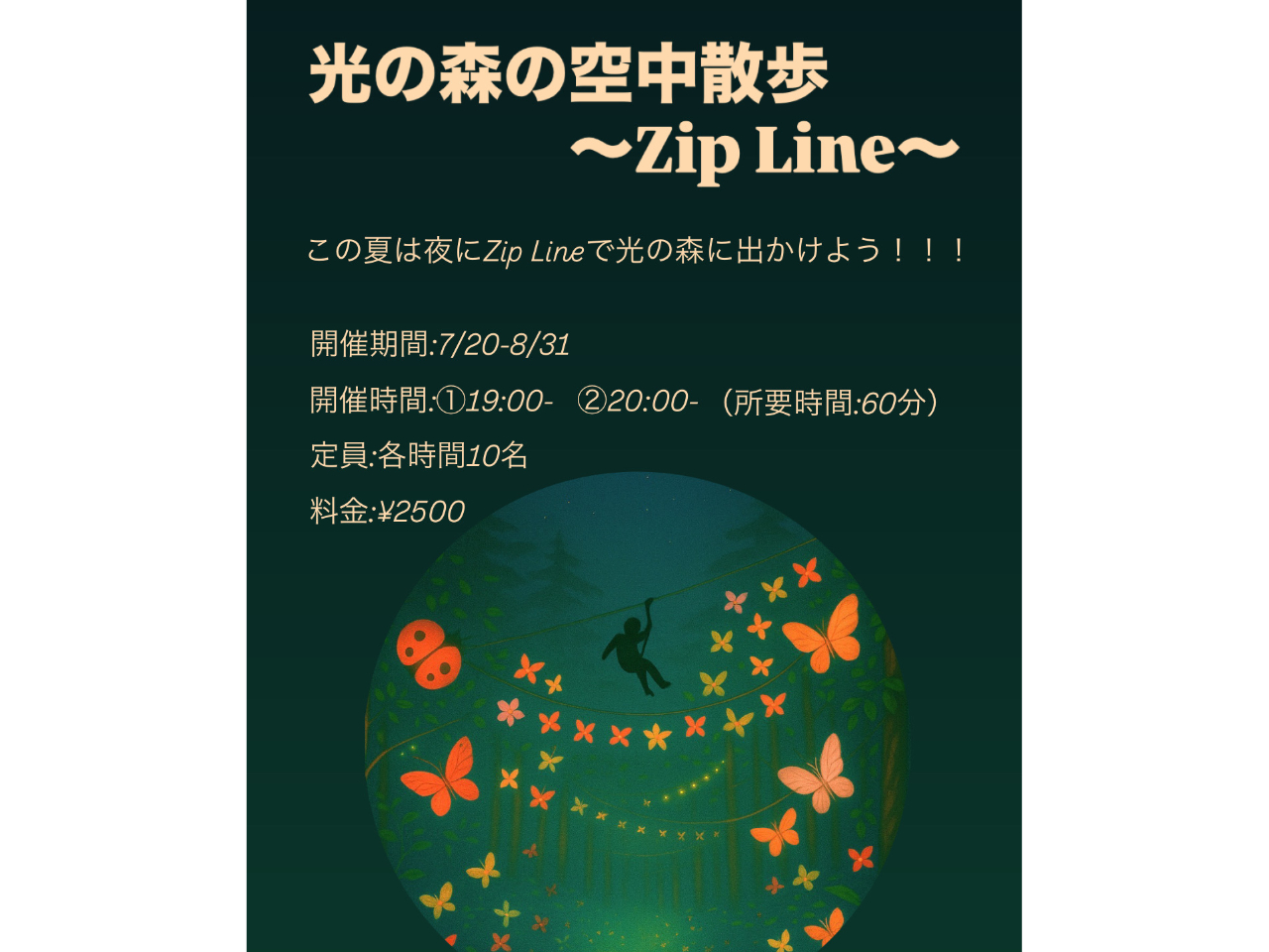 光る森の空中散歩♪ 幻想的な夜の世界を楽しもう！ 3本のZIPLINE