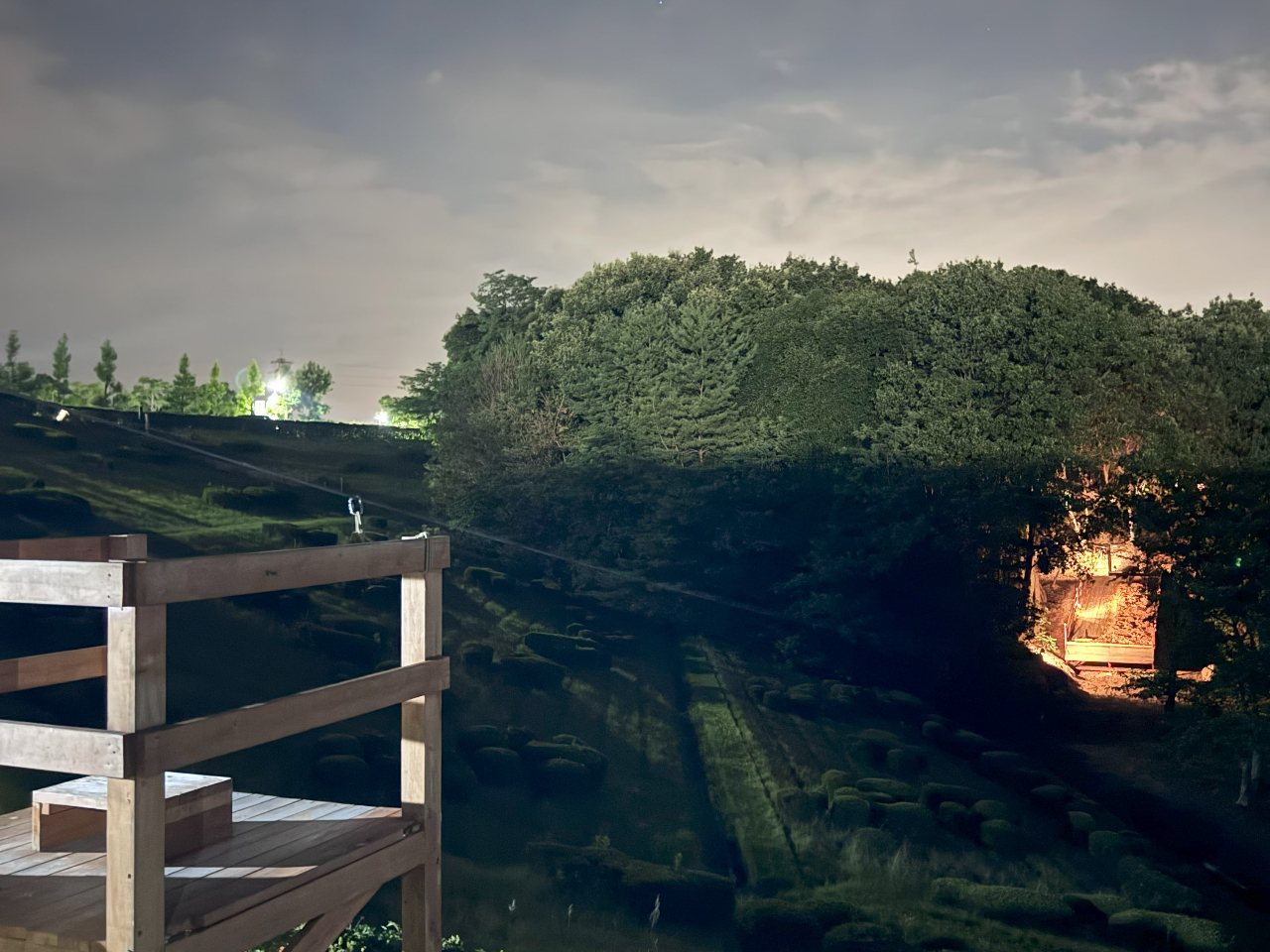 空中散歩 光る森の空中散歩♪ 幻想的な夜の世界を楽しもう！ 3本のZIPLINEを飛ぶ