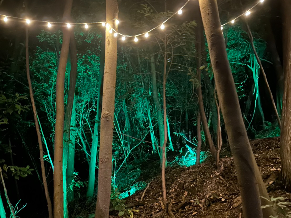 光る森の空中散歩♪ 幻想的な夜の世界を楽しもう！ 3本のZIPLINEを飛ぶ