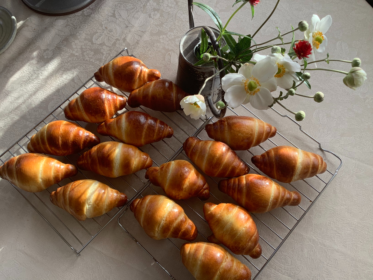 H₨Ɋ΂̂ӂӂ탍[płB Ȃql炲ȕ܂Ŋ ܂B