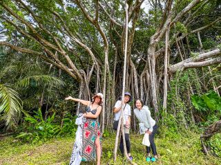 自然溢れる島を散策