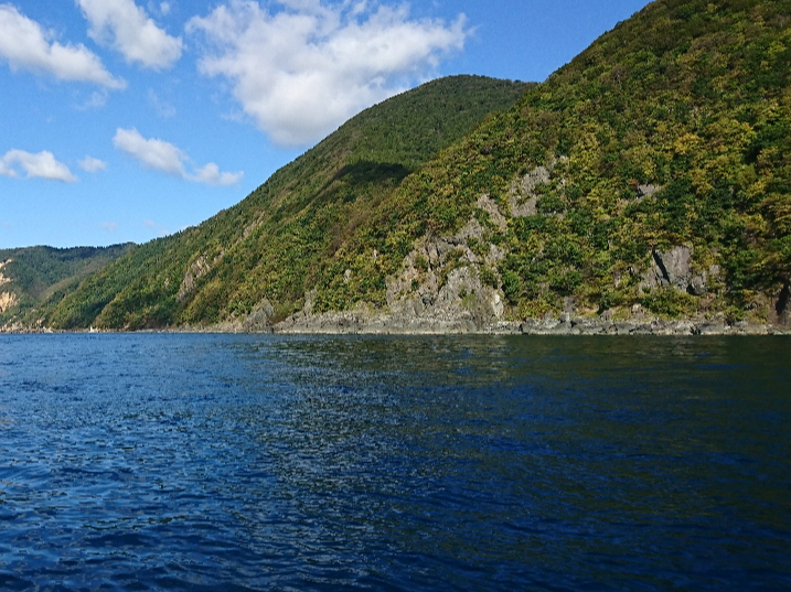 青森県のむつ湾は自然がいっぱい!