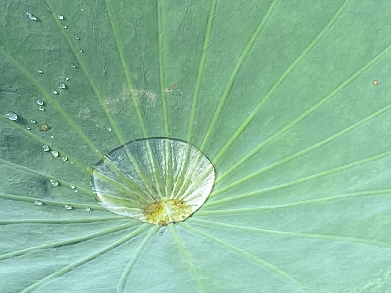 @ɂ͏򉻂̗͂邻łB@Gā@A[g鎞Ԃ@ґzĂ悤ȊooႢ܂B