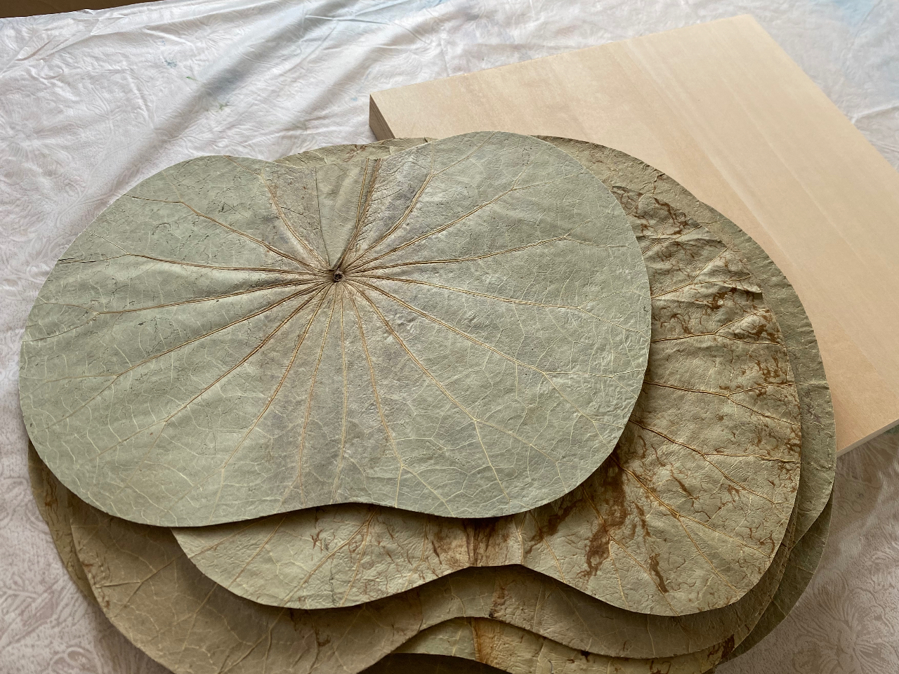 @̗tׂƂ납X^[głB@ǂȔzuɂ͎R@