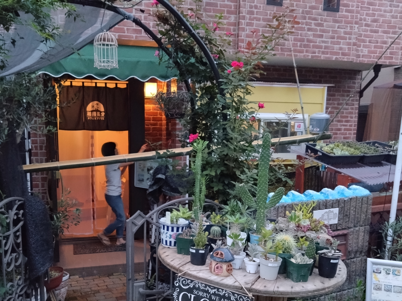 lÓʂɌȑZnɂ܂BR̂悤Ȏ芴_̂XłI@AJtFisUEptFEXȂǁjyHy߂܂B