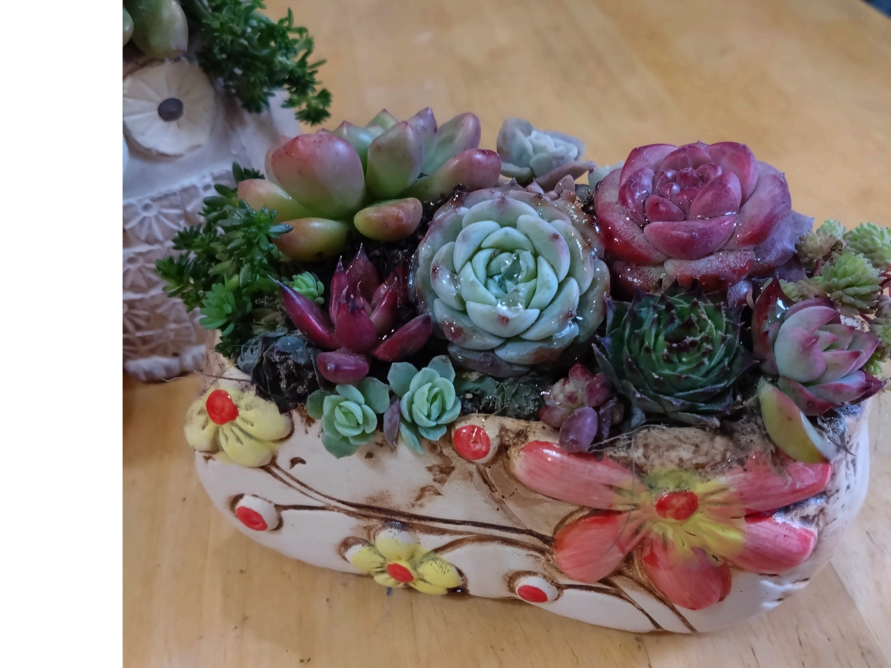 多肉植物の寄せ植えも体験もできます。