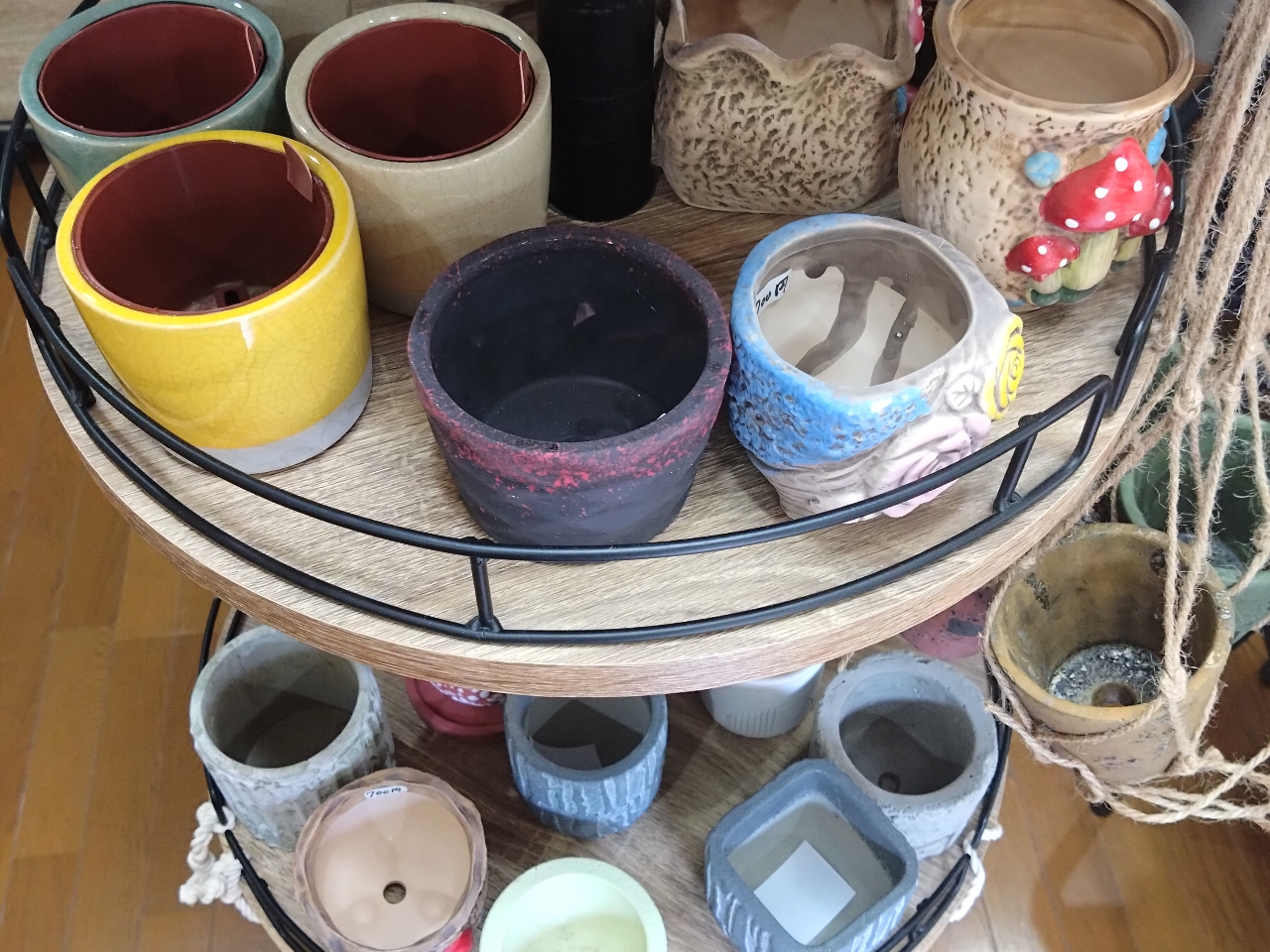 񂠂钆炨Dȃ|bgIт܂傤I