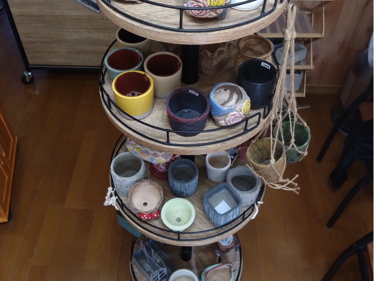 Dȃ|bgIłB@2500~R[X3500~R[X̓|bg̑傫ŕς܂B