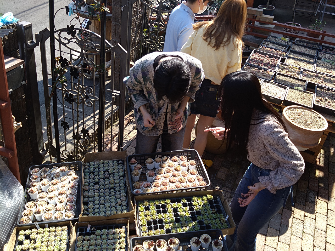 �������񂠂鑽���A���̂Ȃ����玩���̍D���Ȃ��̂�I�т܂��B
