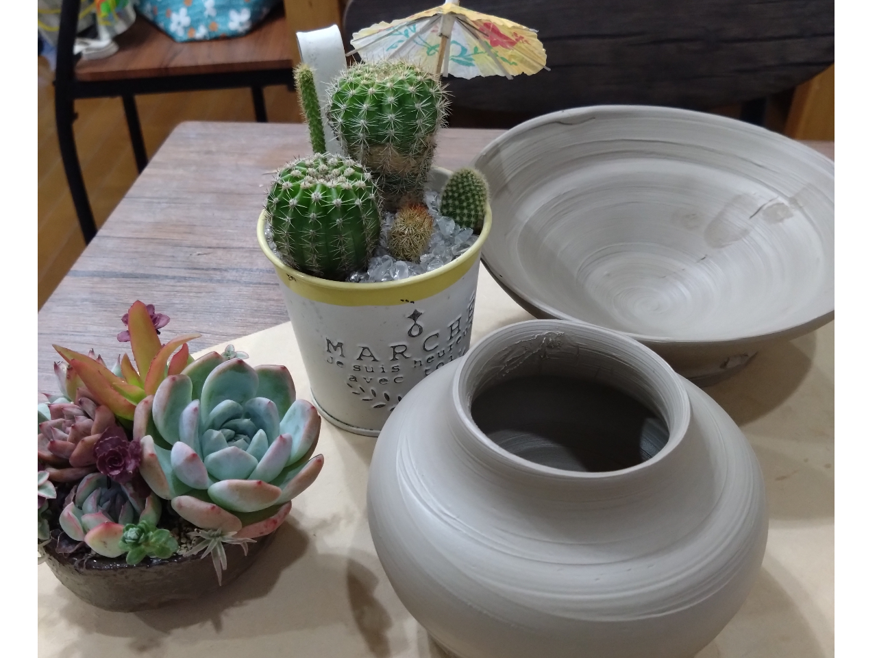 2つの体験！陶芸＆多肉寄せ植え】電動ろくろで器作り×多肉植物寄せ植え