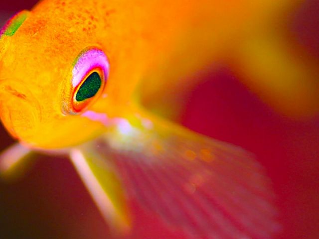 カメラ派の方にも大人気です。