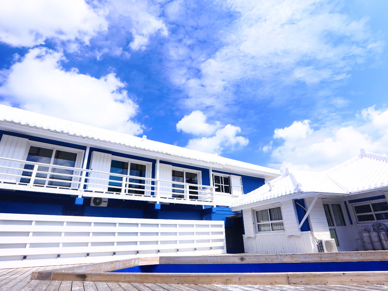 _CrOṕA󂪂悭h{݁B