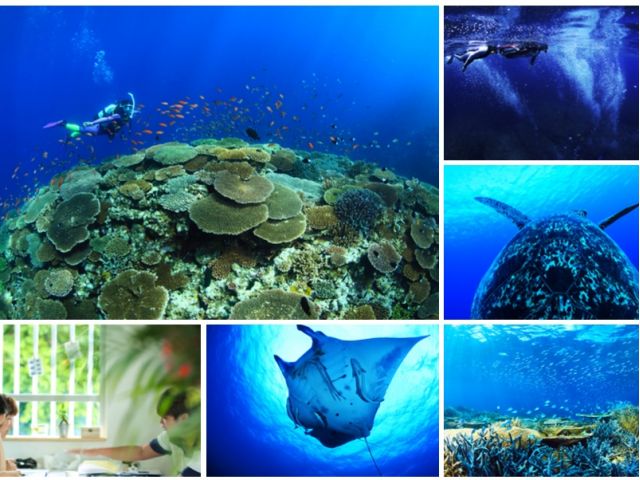 豊かな大自然がすぐそこに!