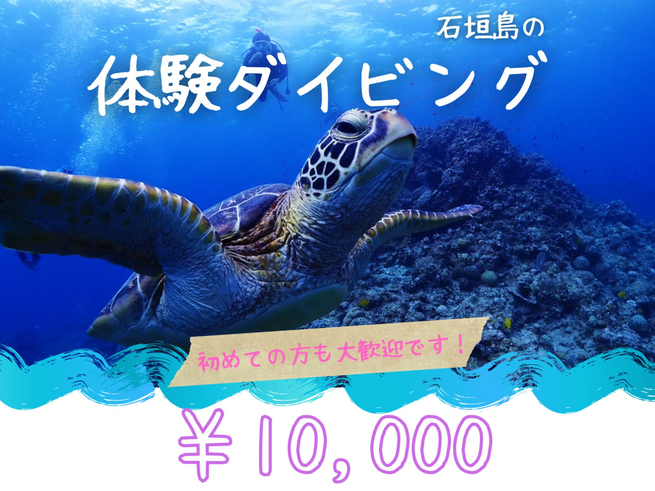 石垣島唯一の講習専用プール完備!