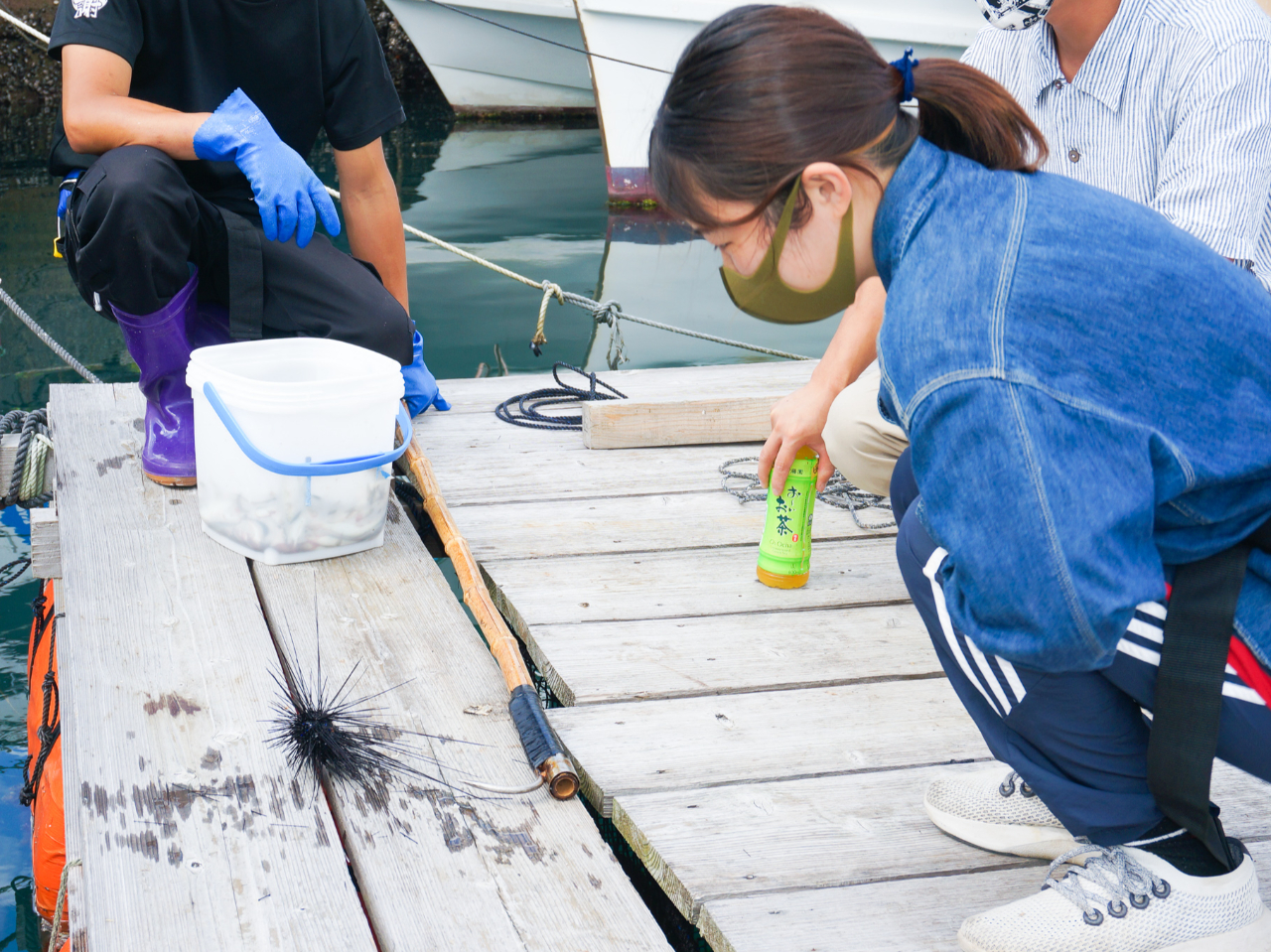 yق߂Izق߂ŊC̐ώ@II