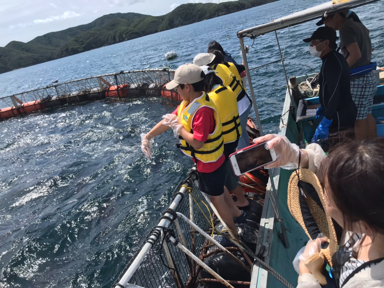 【クロマグロの餌やり】50sクラスのクロマグロが作る大迫力の波しぶき