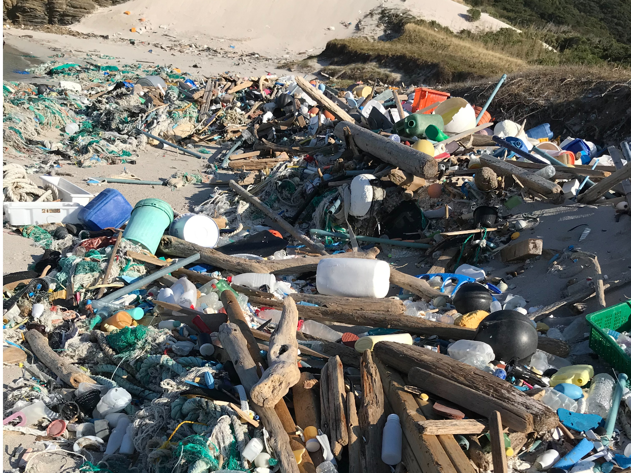 【環境問題も学べる】キレイだけじゃない…。今、海に迫っている危機(海洋ゴミ、気候変動、水産資源減少)の現場もお見せします!