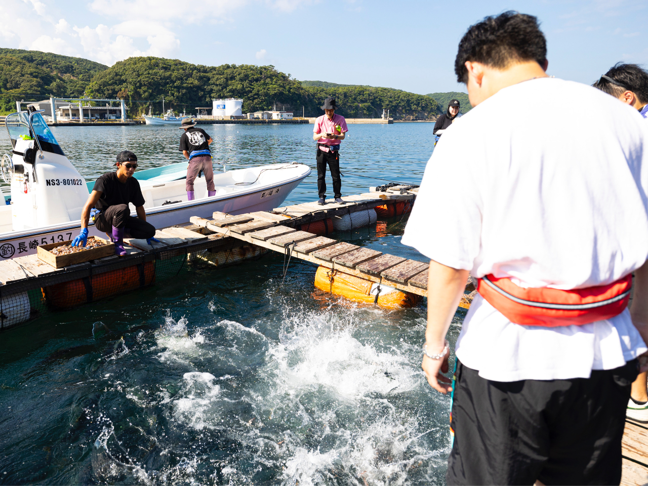 唗́IIق߂ő傫ȋaHׂB򖗂CII