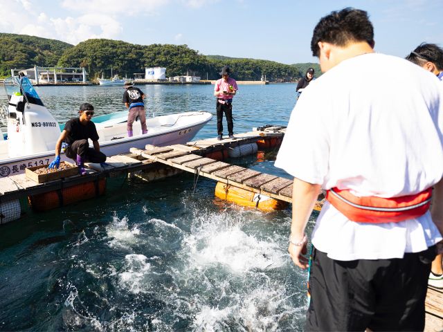 大迫力!!水族館よりも近い距離で大きな魚たちが餌を食べる。飛沫が気持ちいい!!