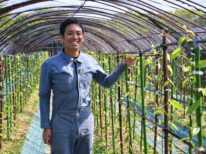 og̃ojY҂KChƂĈē܂B