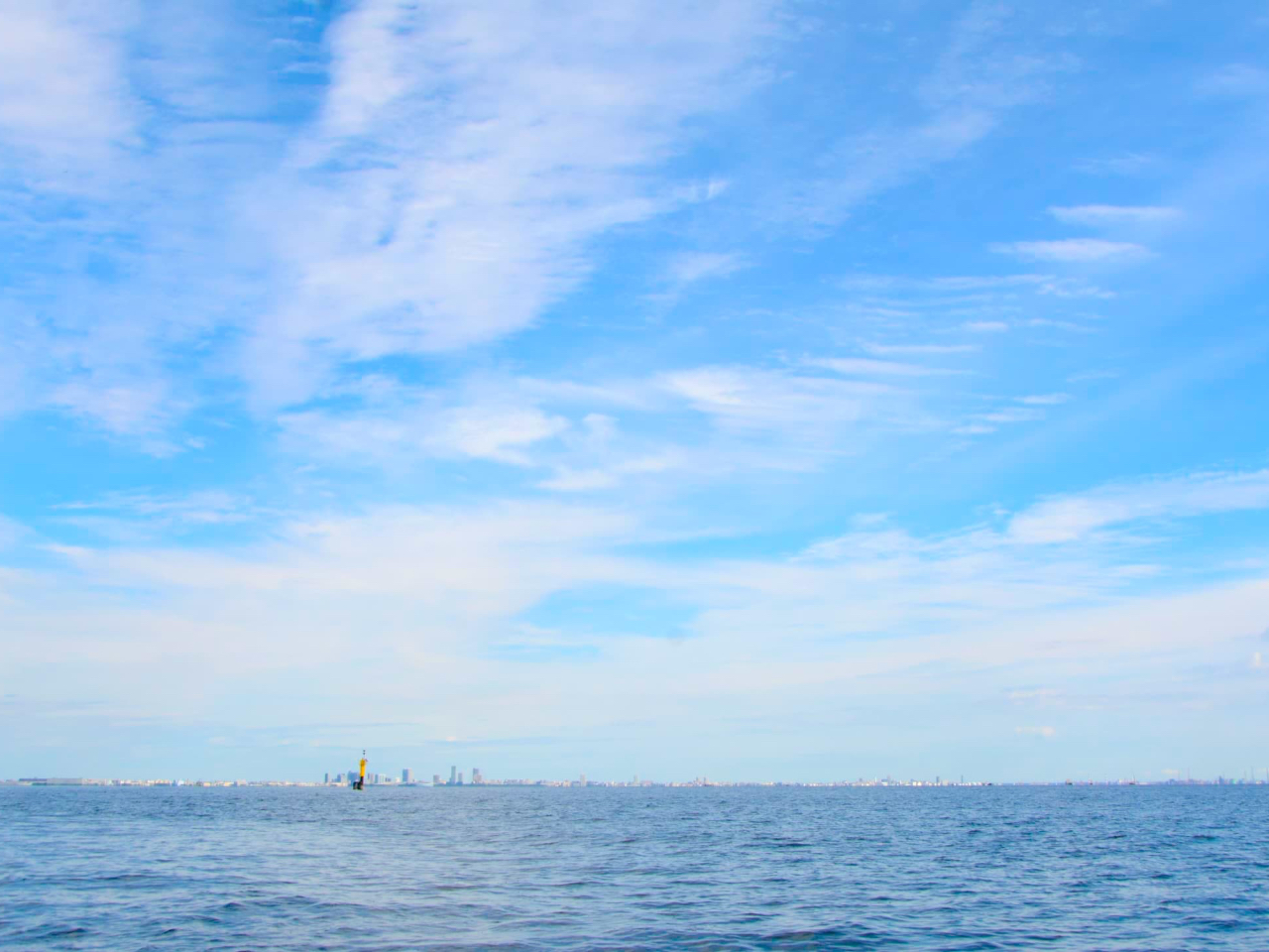 {[ǧiF͊iʁiς{[gtBbVOɊ\ĉ