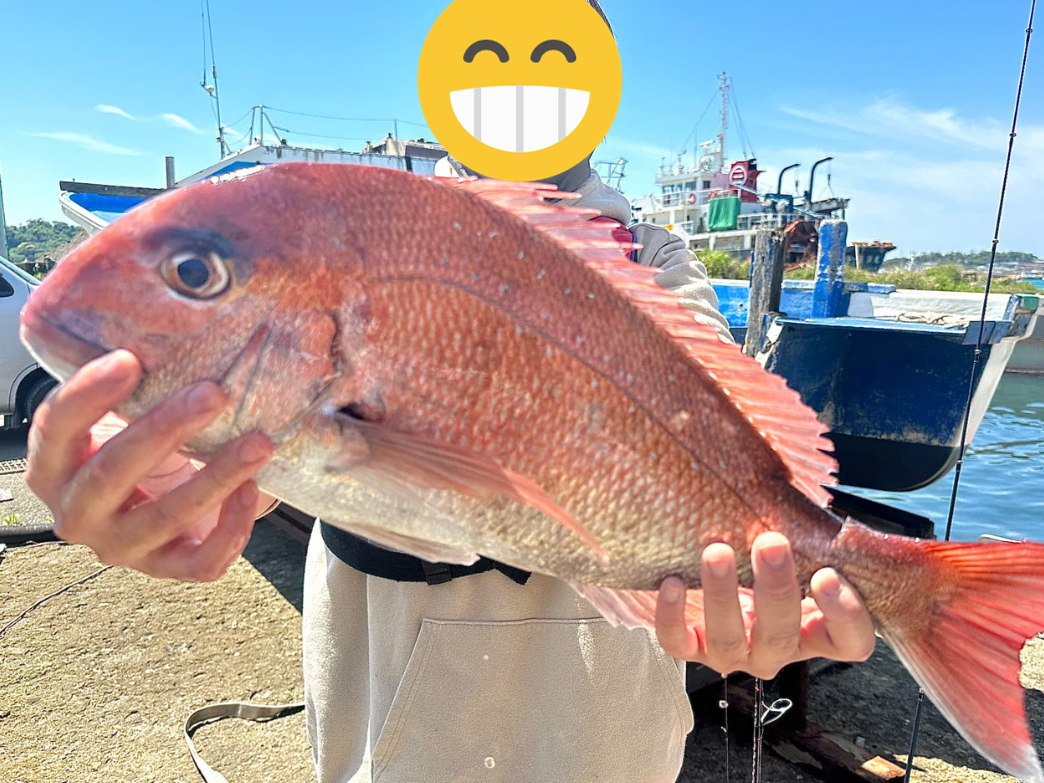 yqlމʁz傫ėhȃ^Cނ܂