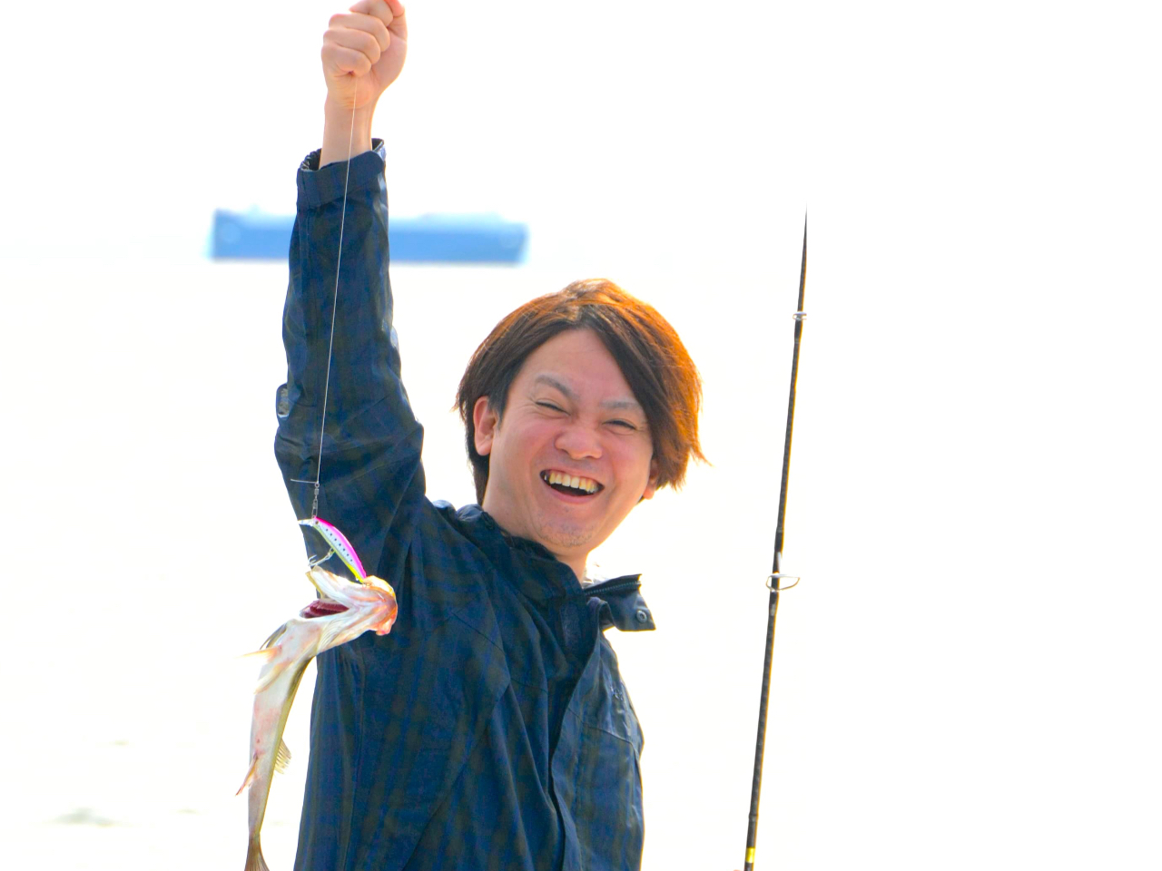 �i�C�X�t�B�b�V���I�@����A�F�l�ł����p����������