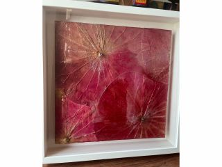 引越しのお祝いに